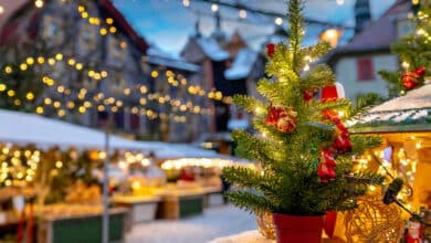 Vánoční trh Zubrnice