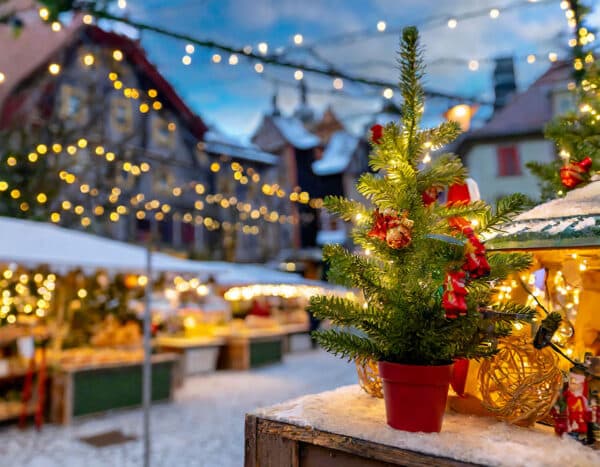 Vánoční trh v Zubrnicích